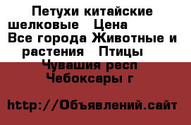 Петухи китайские шелковые › Цена ­ 1 000 - Все города Животные и растения » Птицы   . Чувашия респ.,Чебоксары г.